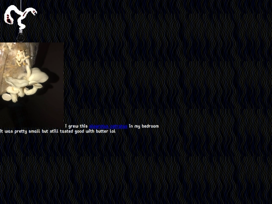photos_page screenshot