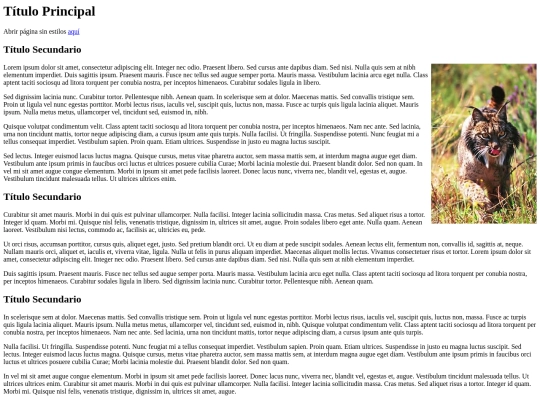 Ejercicio 4 screenshot