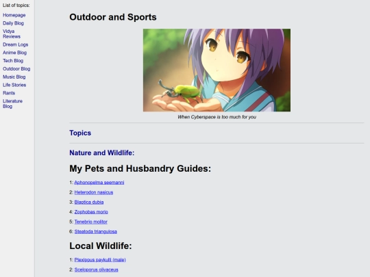 outdoor/outdoor screenshot