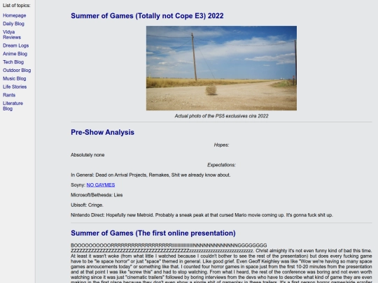 vidya/sog2022 screenshot