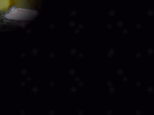 f screenshot