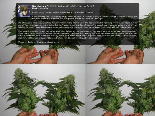 journal/2023/07/28 screenshot