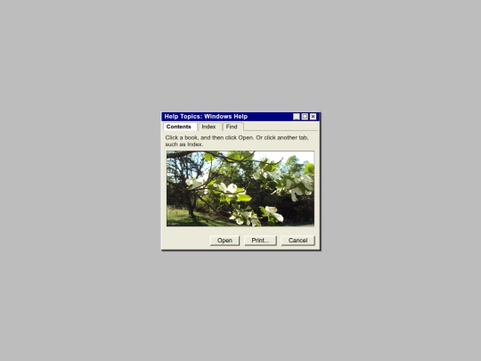 photos screenshot