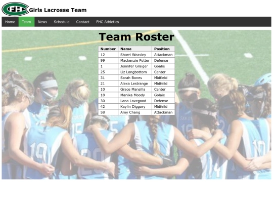 html_final/team screenshot