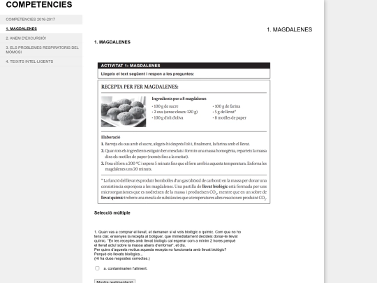 competencies/1_magdalenes screenshot