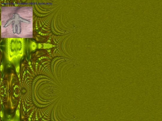 ii/stomach screenshot
