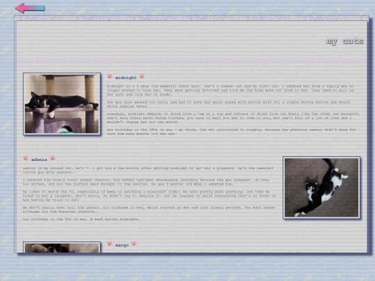 meow screenshot