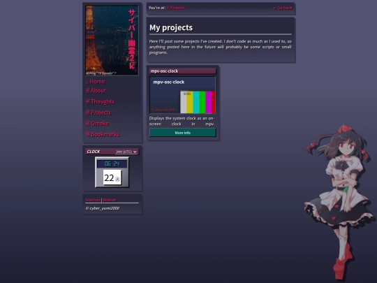 pages/projects screenshot
