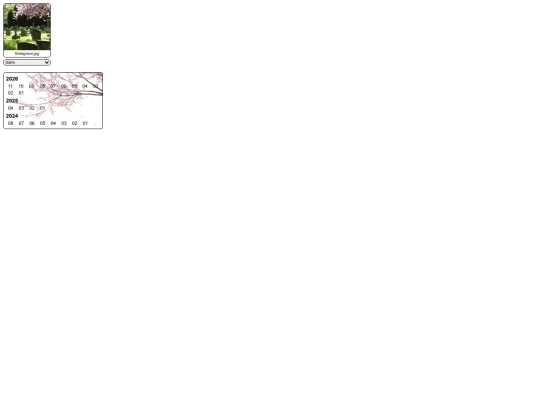 diario screenshot