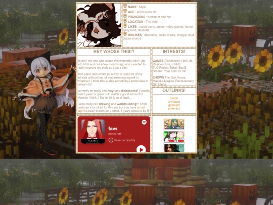 webmaster screenshot