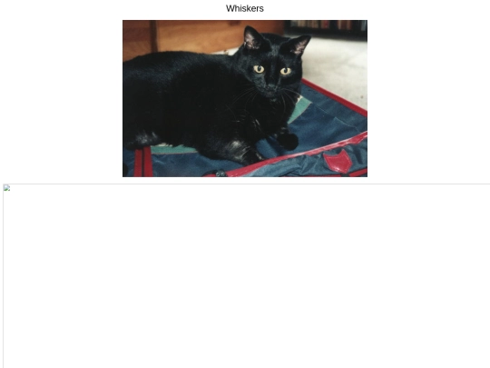 Whiskers screenshot