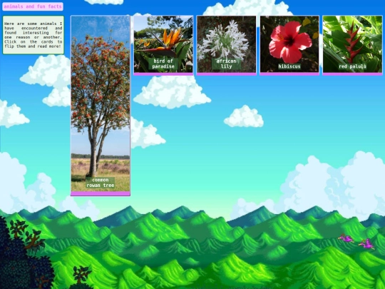 categories/animals screenshot