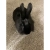 camryn.neocities.org avatar