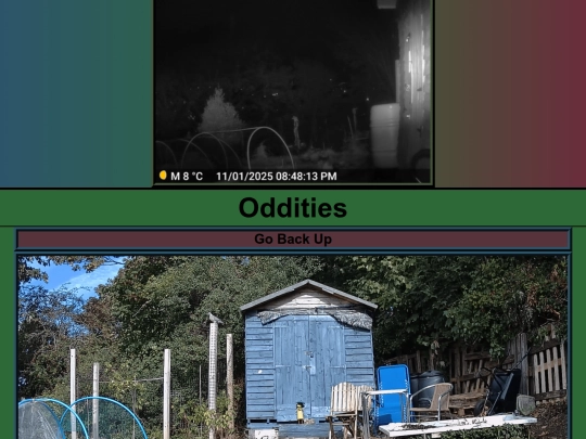 Oddities screenshot