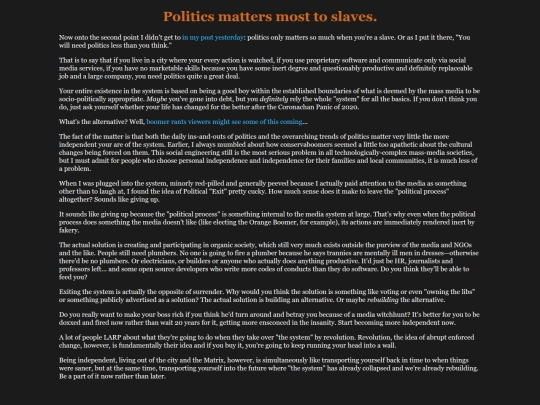 politics_for_slaves screenshot