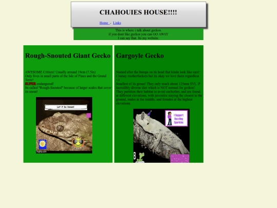 Chahouie's House/geckos screenshot