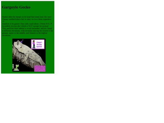 Rhacodactylus-Auriculatus screenshot