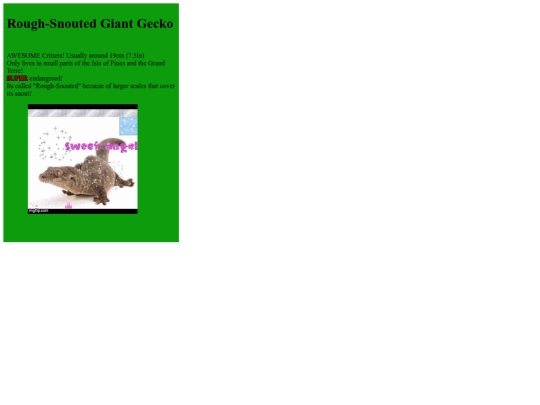 Rhacodactylus-Trachyrhynchus screenshot