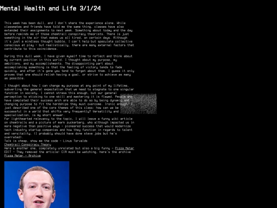 blog3 screenshot