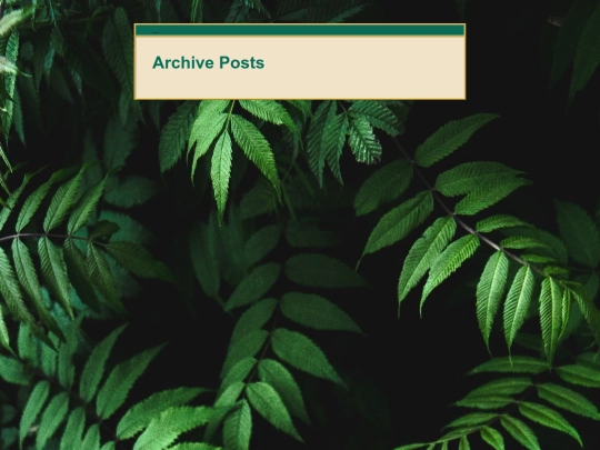 archive screenshot