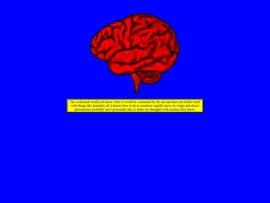 supersecret screenshot