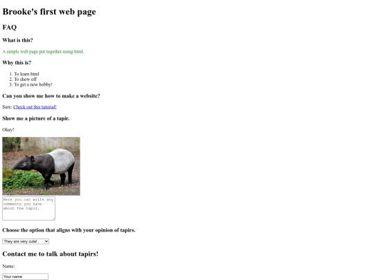 myfirstpage screenshot