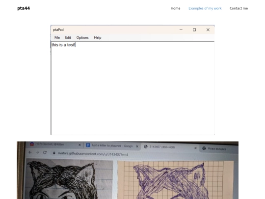Examples-of-my-work screenshot
