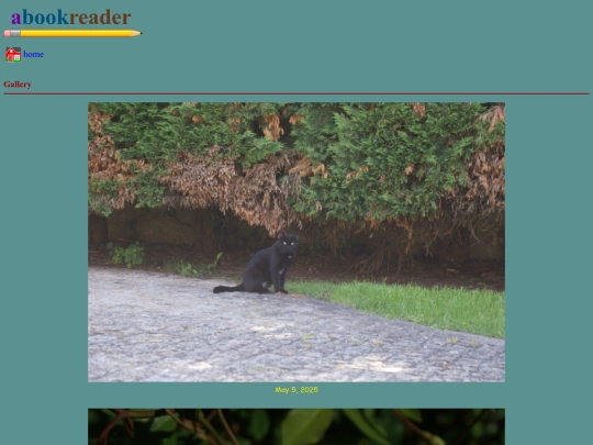 gallery screenshot