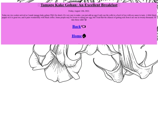 entry2 screenshot