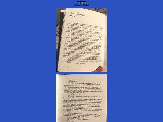 Writing/fleshintogear screenshot