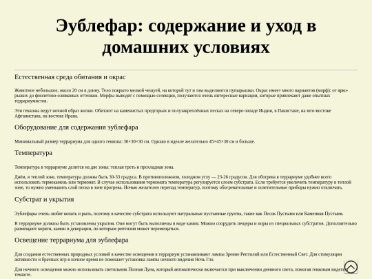 2 PAGE screenshot