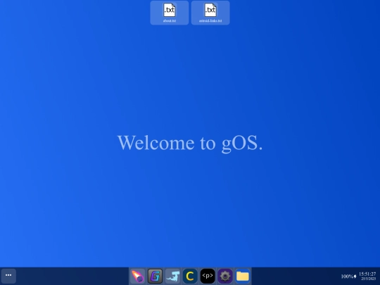 downloadables/gOS screenshot