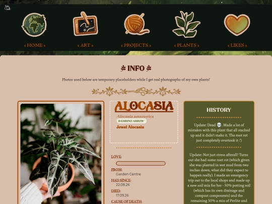 plants/alocasia screenshot