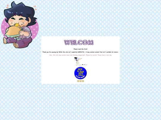 SITE SECTIONS/intro screenshot