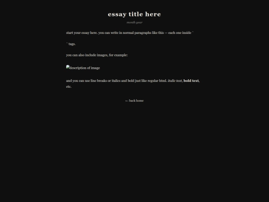 essays/essay-template screenshot