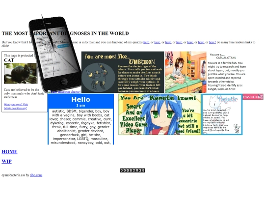 quizzes screenshot