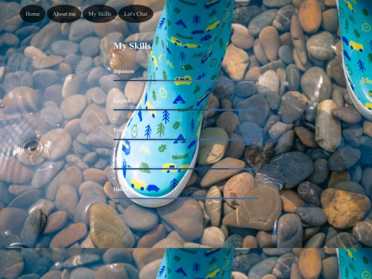 projects screenshot