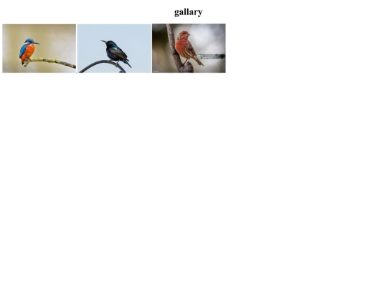 gallarey.html/gallery screenshot