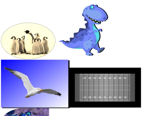 imitation/imitation screenshot