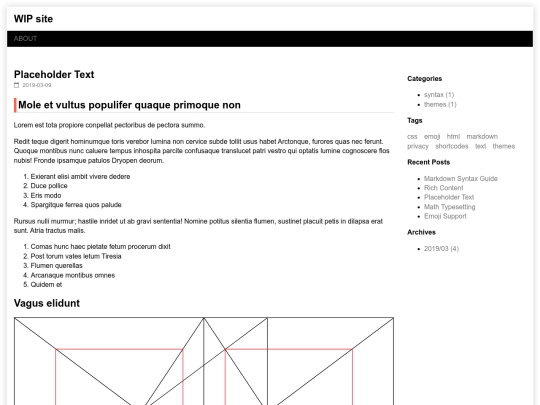placeholder-text screenshot