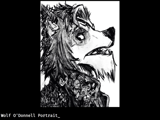 art pages/Wolfodonnellportrait screenshot