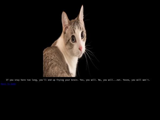 catphoto screenshot