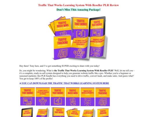 traffic-learning-plr screenshot