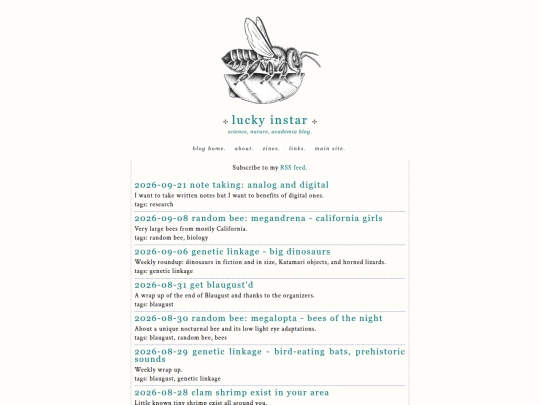 blog screenshot