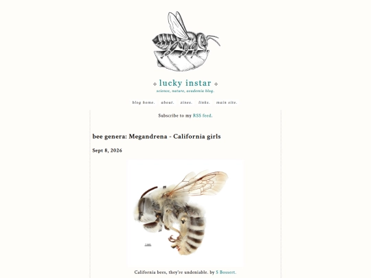 blog/beegenera/megandrena screenshot