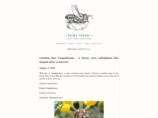 blog/beegenera1 screenshot