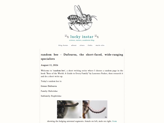 blog/beegenera3 screenshot
