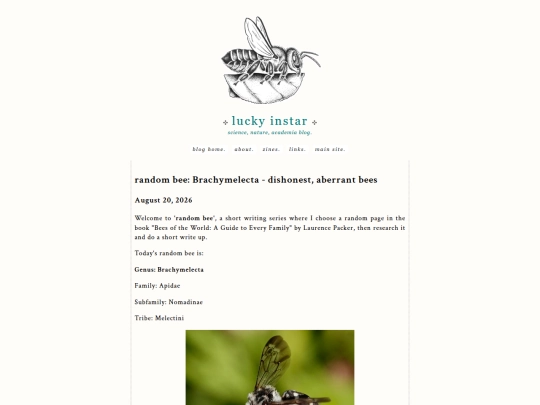 blog/beegenera5 screenshot