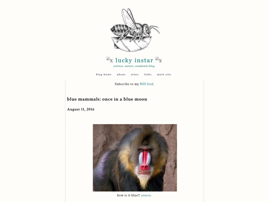 blog/blue screenshot