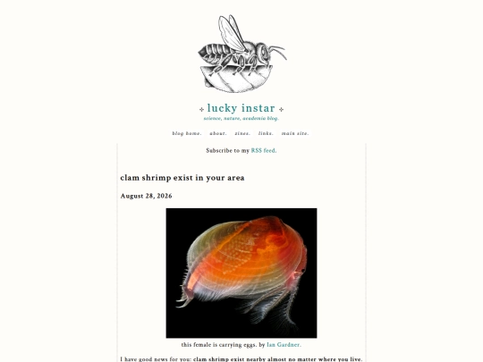 blog/clamshrimp screenshot